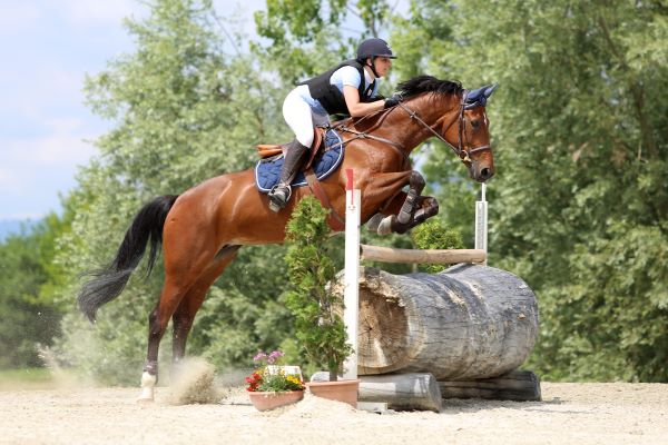 HorseTrials