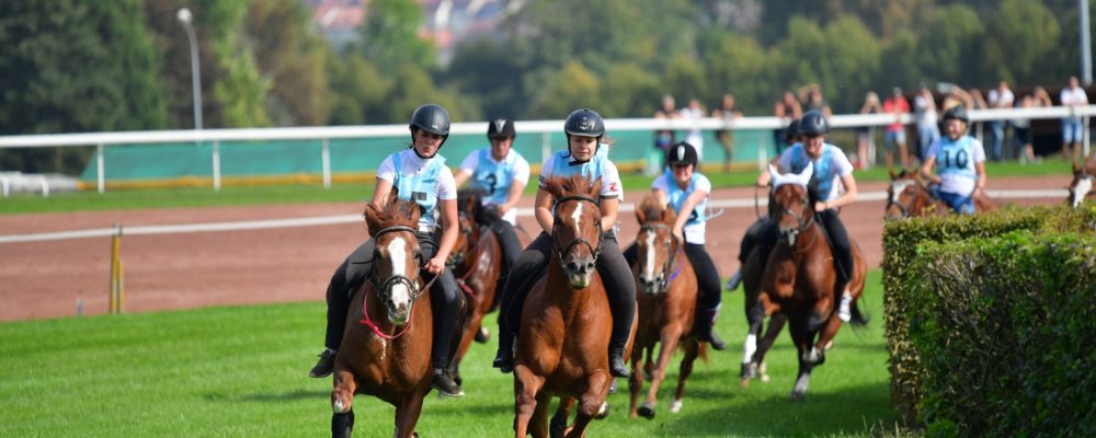 course_campagnarde_2 course_campagnarde_2